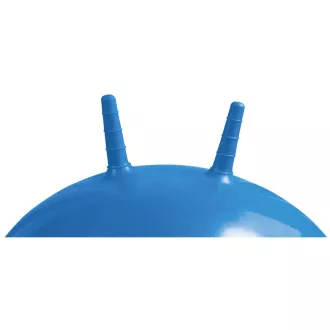 Minge de sărituri de fitness 55 cm, albastru