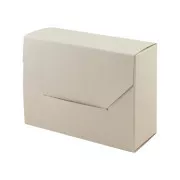 Cutie de dosar 220x168x112mm EMBA
