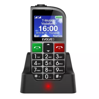 EVOLVEO EasyPhone FM, telefon mobil pentru seniori cu suport de încărcare (culoare argintie) EVOLVEO EasyPhone FM, telefon mobil pentru seniori cu suport de încărcare (culoare argintie)