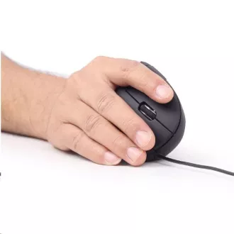 Mouse GEMBIRD MUS-ERGO-01, cu fir, optic, vertical, 1200-3200 dpi, USB, negru Mouse GEMBIRD MUS-ERGO-01, cu fir, optic, vertical, 1200-3200 dpi, USB, negru