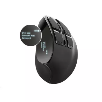 Mouse ergonomic TRUST Mouse wireless ergonomic reîncărcabil Voxx Mouse ergonomic TRUST Mouse wireless ergonomic reîncărcabil Voxx