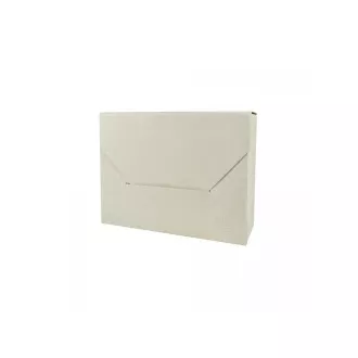 Cutie de dosar 350x260x110mm EMBA