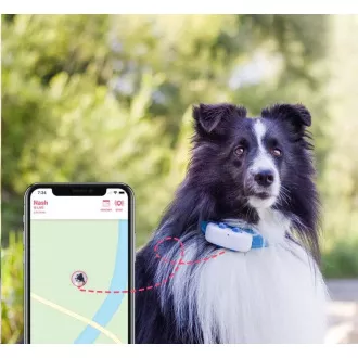 Tractive GPS DOG 4 - Urmărirea GPS a poziției și a activității pentru câini Tractive GPS DOG 4 - Urmărirea GPS a poziției și a activității pentru câini