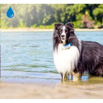 Tractive GPS DOG 4 - Urmărirea GPS a poziției și a activității pentru câini Tractive GPS DOG 4 - Urmărirea GPS a poziției și a activității pentru câini