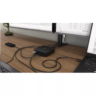 Stație de andocare iTec USB-C HDMI DP, putere 100 W Stație de andocare iTec USB-C HDMI DP, putere 100 W