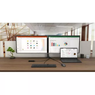 Stație de andocare iTec USB-C HDMI DP, putere 100 W Stație de andocare iTec USB-C HDMI DP, putere 100 W
