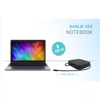 Stație de andocare iTec USB-C HDMI DP, putere 100 W Stație de andocare iTec USB-C HDMI DP, putere 100 W