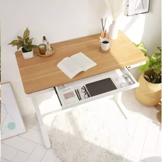 Delso WORKSTATION Masa electrica cu inaltime reglabila stejar / alb