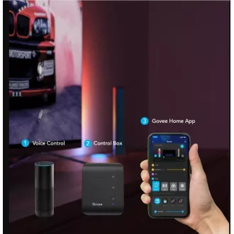 Govee Flow PRO SMART LED TV & Gaming - RGBICWWW Govee Flow PRO SMART LED TV & Gaming - RGBICWWW