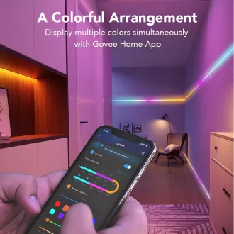 Govee WiFi RGBIC Smart PRO LED strip 10m - extra durabil