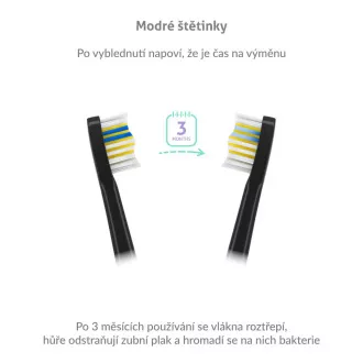 TrueLife SonicBrush Compact Negru