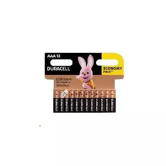 Duracell Basic 2400 K12 AAA