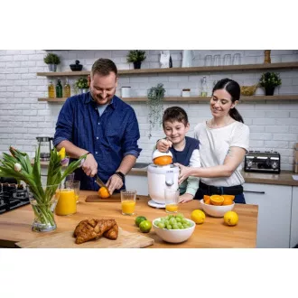 Storcător electric de citrice Lauben 110WT