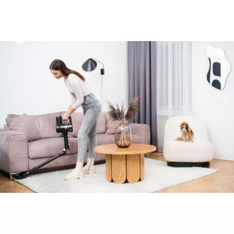Lauben Stick Vacuum & Mop 3in1 Pet Deluxe 400BC