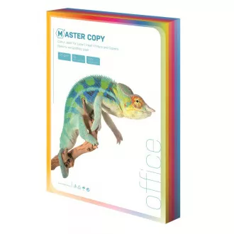 Hârtie offset Master A4 / 80g curcubeu adânc 5 culori 100 coli