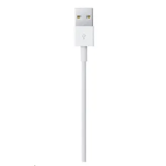 Cablu USB APPLE cu conector Lightning (2m)