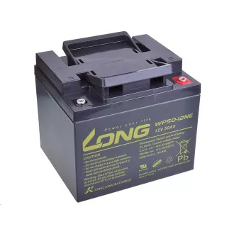 Baterie plumb-acid lungă de 12V 50Ah DeepCycle AGM M6 (WP50-12NE)