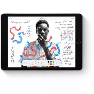 APPLE iPad 10, 2" (a 9-a generație) (2021) Wi-Fi + Cellular 256 GB - Gri cosmic