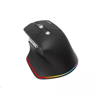 Mouse wireless ACER Easy Fit Mouse, ergonomic, 4000 dpi, 6 butoane, RGB, rază de acțiune 10 m, USB-C, BT, Negru