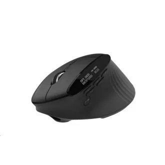 Mouse wireless ACER Smart Fit Vertical Mouse, 8000 dpi, 10 butoane, RGB, rază de acțiune de 10 m, BT, USB, autonomie baterie 120h, Negru