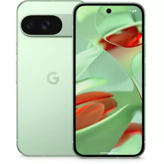 Google Pixel 9 - 256 GB Wintergreen, UE Google Pixel 9 - 256 GB Wintergreen, UE