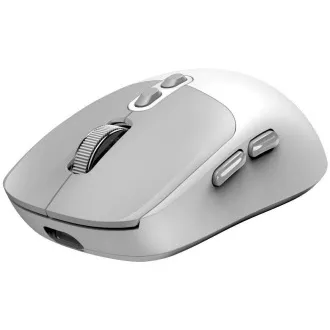 Mouse GENIUS NX-8080S BT/ Bluetooth dual + 2.4 GHz/ 1600 dpi/ Copilot/ wireless/ silențios/ alb-gri