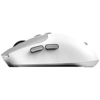 Mouse GENIUS NX-8080S BT/ Bluetooth dual + 2.4 GHz/ 1600 dpi/ Copilot/ wireless/ silențios/ alb-gri