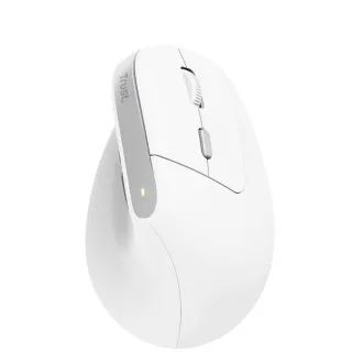Mouse TRUST Bayo II Mouse vertical ergonomic, Wireless, alb