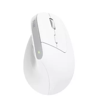 Mouse TRUST Bayo+ Mouse vertical ergonomic, Wireless, alb