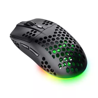 Mouse fără fir TRUST GXT 929 Helox Ușor, RGB, negru