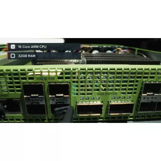 Server de date MikroTik RDS2216 Enterprise Rose