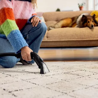 Batător Kärcher SE 3 Compact Home