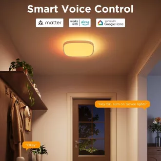 Lampă de tavan inteligentă pătrată Govee RGBICWW, 2400lm, 30cm, Matter