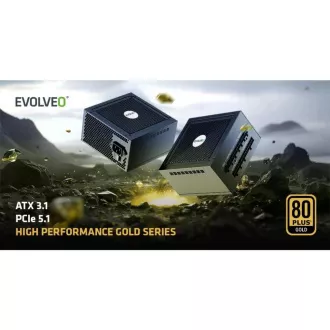 Sursă de alimentare EVOLVEO G850 850W, 80+ GOLD, ATX 3.1, aPFC, ventilator de 140 mm