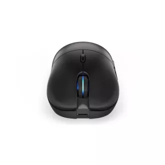 Endorfy mouse GEM Plus Wireless PAW3395 / Khail GM 8.0 / wireless / negru