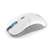 Endorfy mouse GEM Plus Wireless OWH PAW3395 / Khail GM 8.0 / wireless / alb