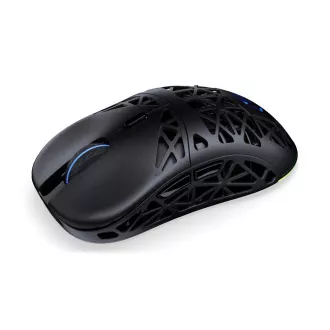 Mouse de gaming Endorfy LIV Wireless, fără fir, ARGB, negru