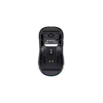 Mouse de gaming Endorfy LIV Wireless, fără fir, ARGB, negru