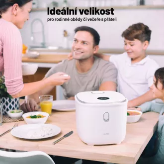 Lauben Low Sugar Rice Cooker 3000WT Lauben Low Sugar Rice Cooker 3000WT