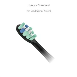 Capetele TrueLife SonicBrush Clean-series Standard negru pachet de 2 bucăți