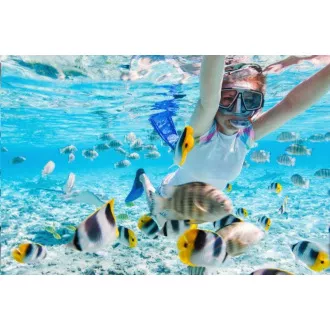 AGFAPHOTO Realimove CC4000W Negru