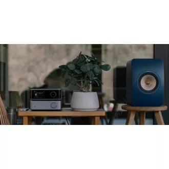 Amplificator WiiM Vibelink - Argintiu