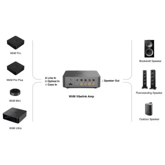 Amplificator WiiM Vibelink - Argintiu