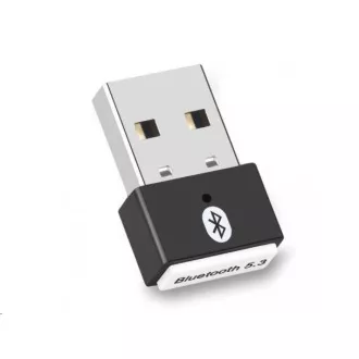 WG - Mini adaptor Bluetooth 5.3