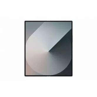 Samsung Galaxy Z Fold 6, 256GB, 5G, Silver Shadow, distribuție CZ