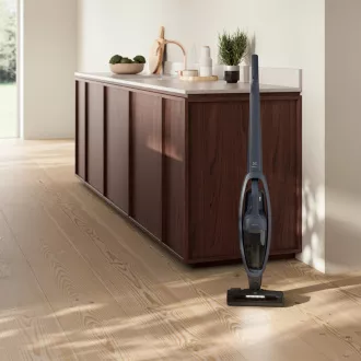 ES52CB21DB ASPIRATOR CU BRÂNZĂ ELECTROLUX ES52CB21DB ASPIRATOR CU BRÂNZĂ ELECTROLUX