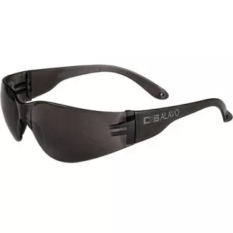 Ochelari CXS-OPSIS ALAVO, fumurii Ochelari CXS-OPSIS ALAVO, fumurii
