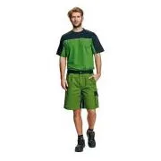 Pantaloni scurți STANMORE verde / negru 48