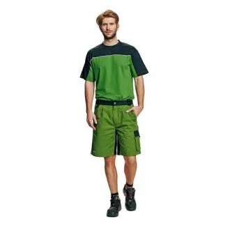 Pantaloni scurți STANMORE verde / negru 56
