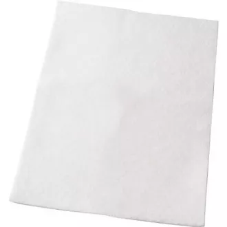 FILTRU EF54 (900084305) ELECTROLUX FILTRU EF54 (900084305) ELECTROLUX